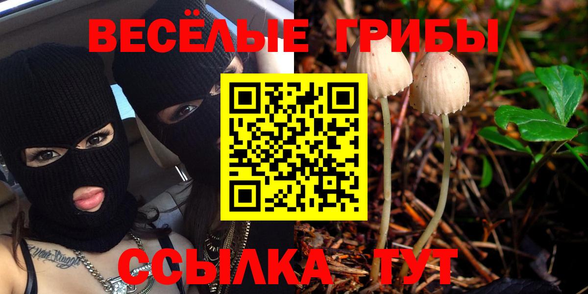 Псилоцибиновые грибы мицелий Карабулак