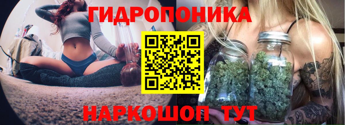 Шишки марихуана марихуана  Вход с VPN  Карабулак  Бошки марихуана Ganja  Шишки марихуана MAZAR 